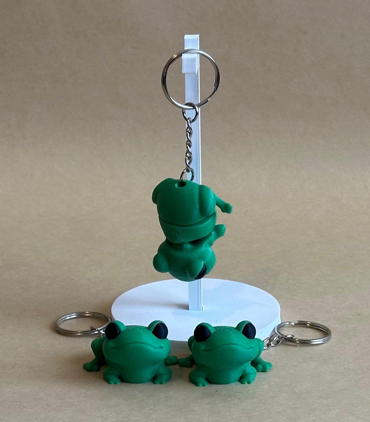 Fidget Frog - Articulated Flexi moving keychain