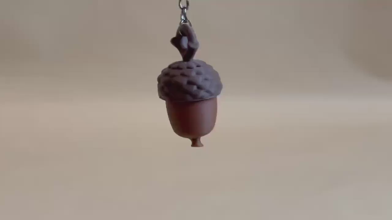 Acorn Storage Hideaway Keychain
