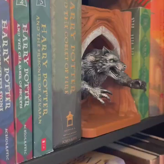 Werewolf Lupin inspired 3D Book Nook