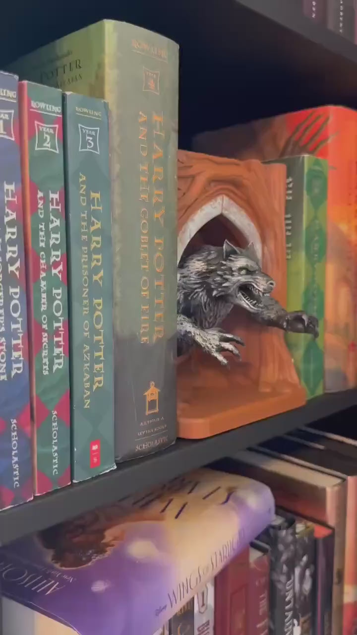 Werewolf Lupin inspired 3D Book Nook